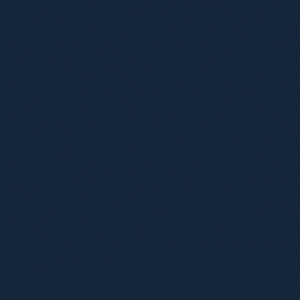Icon 01
