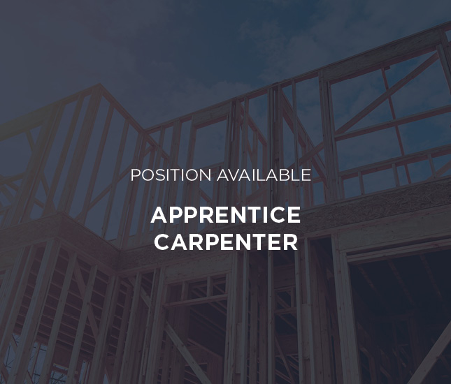 Seeking Apprentice Carpenter